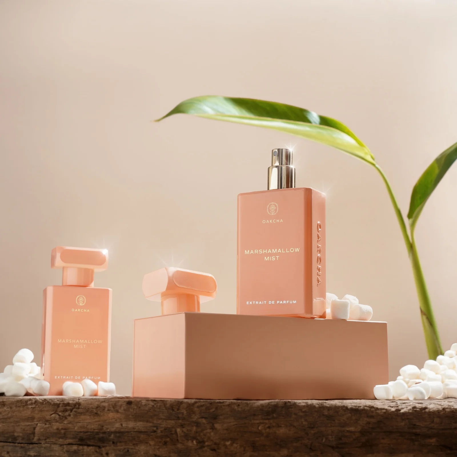 OAKCHA Marshmallow Mist Kadın  - Perfume Juicy Fragrance incelemesi ve fiyatı